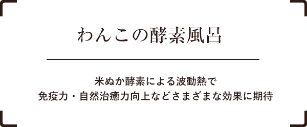 オーガニックシャンプー取り扱い店